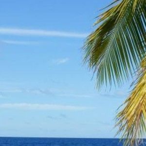 Meet your Posher, Brook